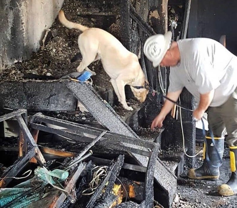 Members of the Philadelphia Arson and Explosives Task Force investigate damage caused by a fire.