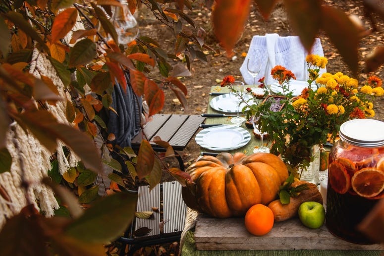 AUTUMN~3.d undefined Getty Image