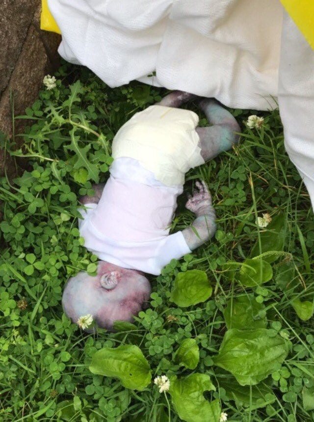 Doll believed to be a dead baby found in Queens