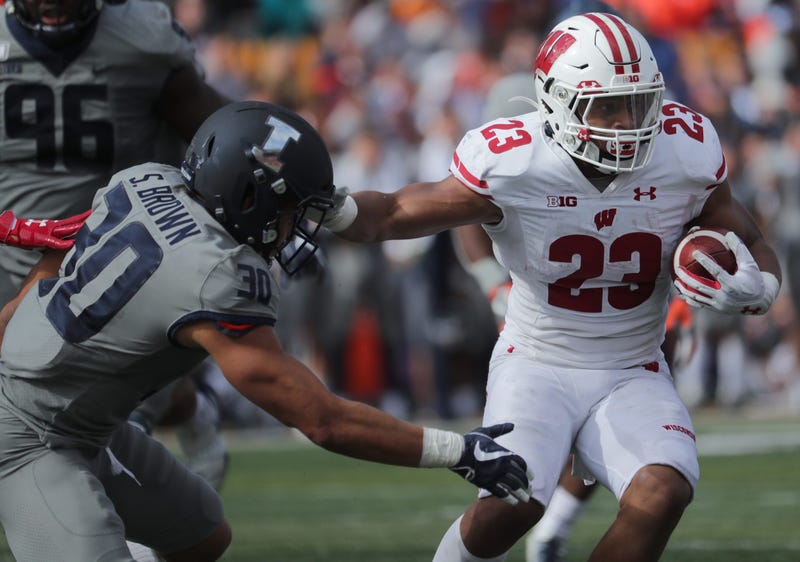Badgers