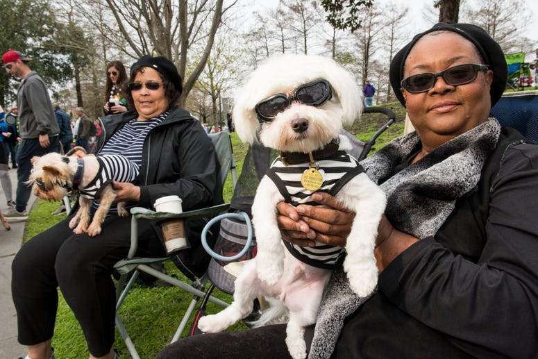 barkus