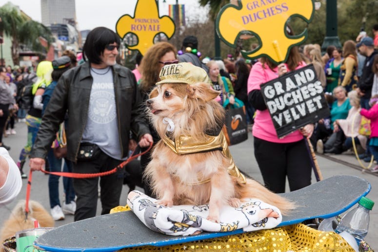 barkus