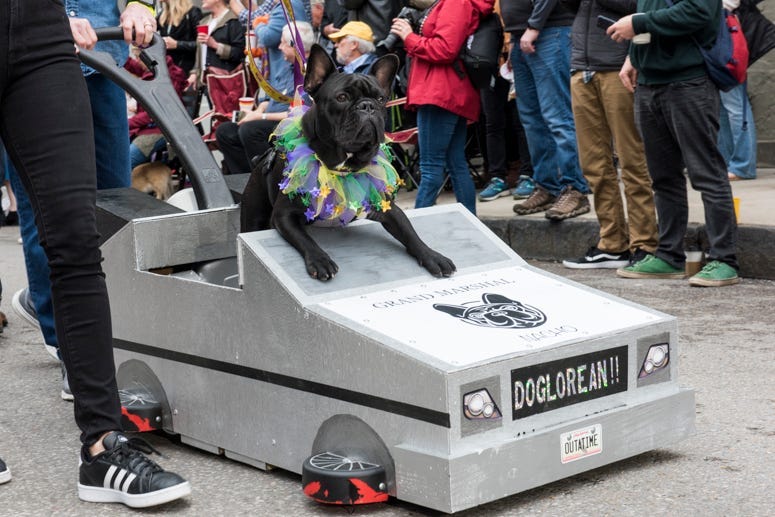 barkus