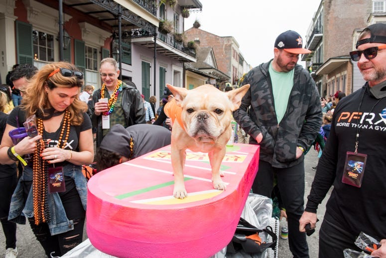 barkus