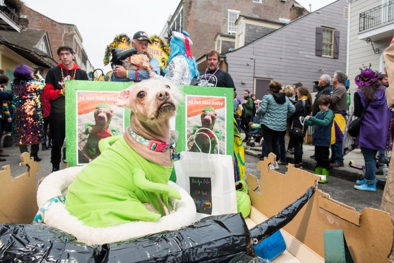 barkus