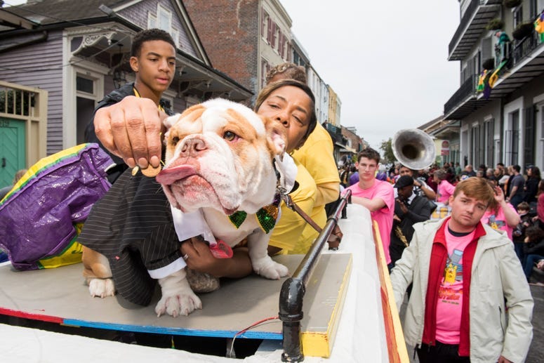 barkus