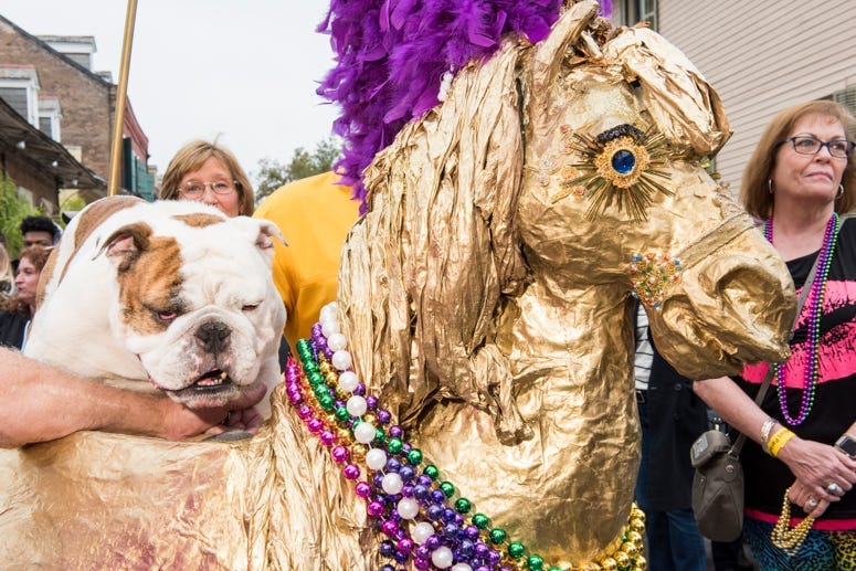 barkus