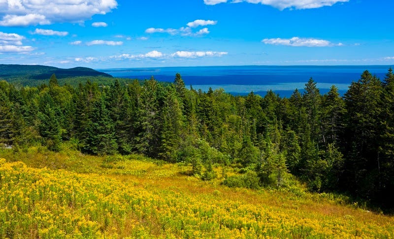 bay_of_fundy