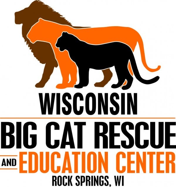 Big Cat Rescue