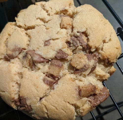 Big ole Reeses Pumpkin Cookie 500