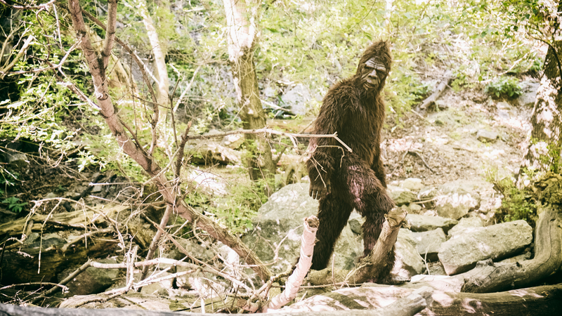 Bigfoot