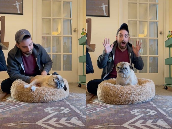 Jonathan Graziano with his dog Noodle