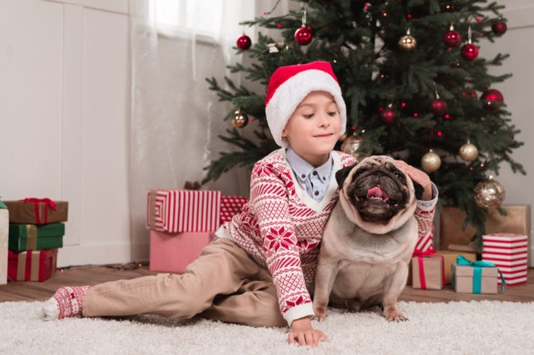 Boy petting his dog