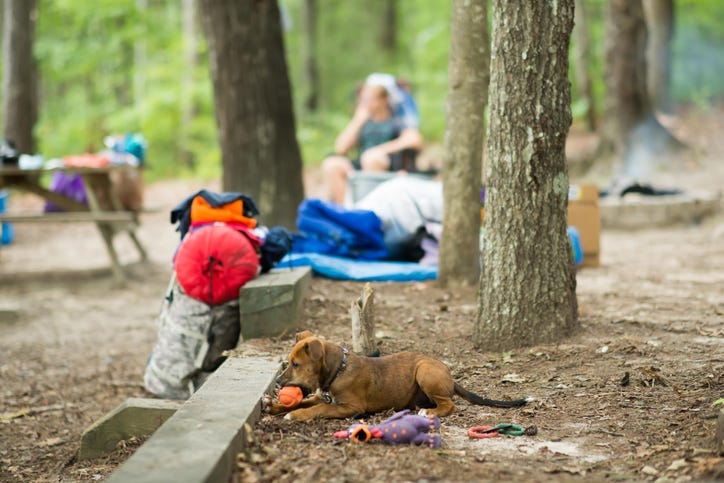 Camping - Getty Images