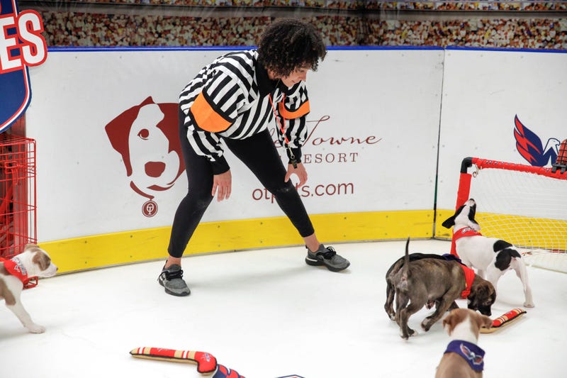Caps Puppy Playoffs