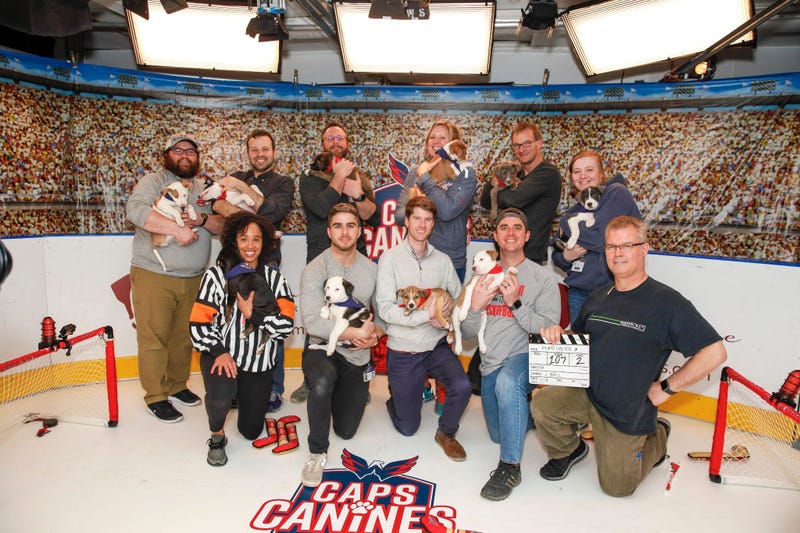 Caps Puppy Playoffs