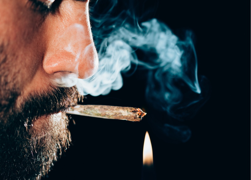 Cannabis