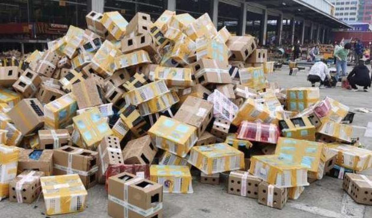 radio.com - At least 5,000 pets found dead at shipping facility in China