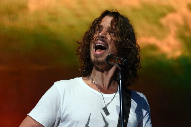 Chris Cornell Performs in 2014
