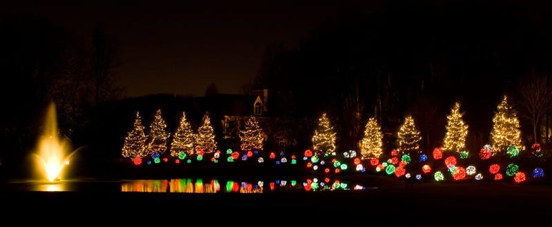 Christmas Lights