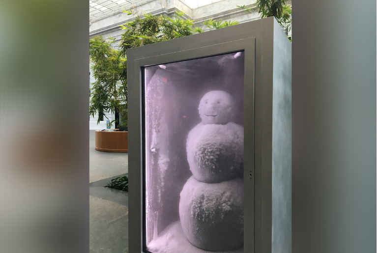 © Peter Fischli and David Weiss, Courtesy Matthew Marks Gallery