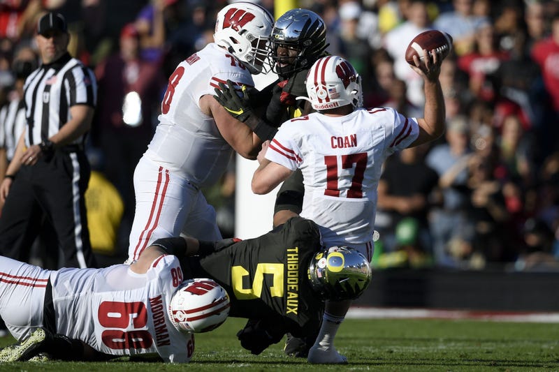 badgers