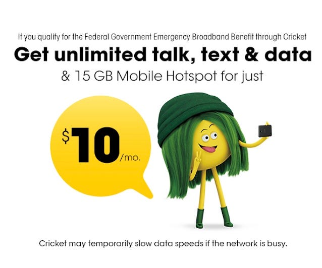 cricket