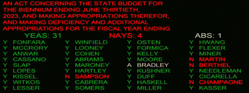 Senate passes budget