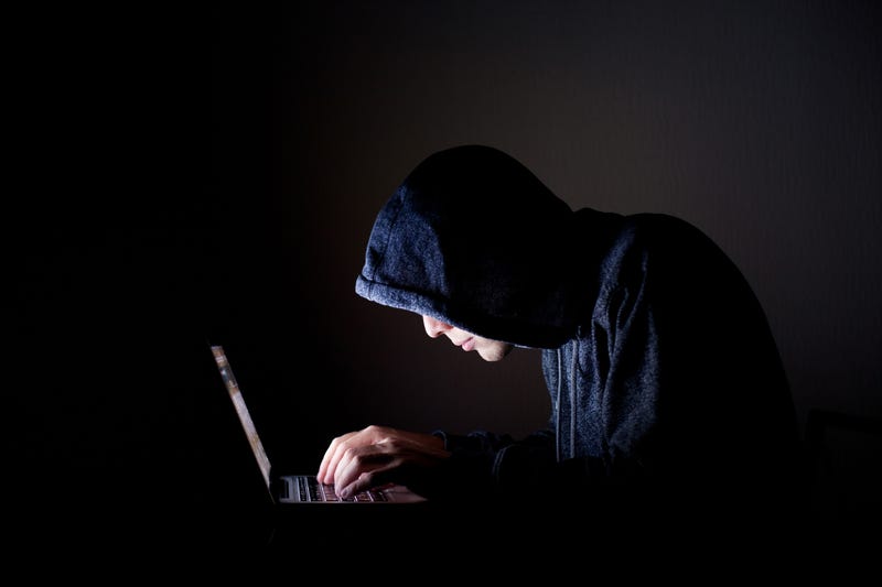 cyber crime