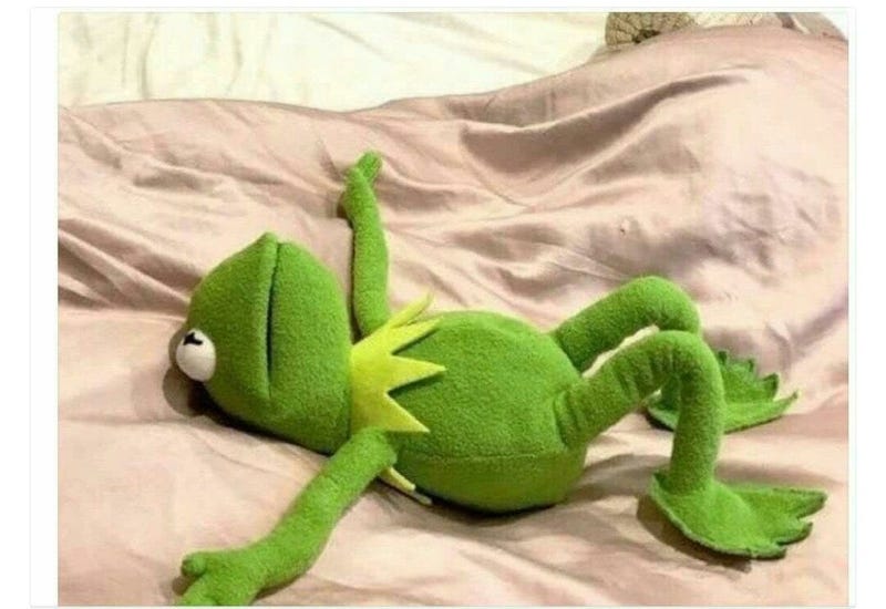 Kermit exhausted