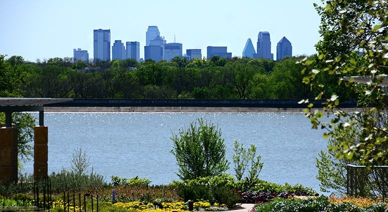 Dallas Skyline