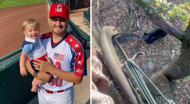 Dalton Roach of Springfield Cardinals, pic of bear that bit him