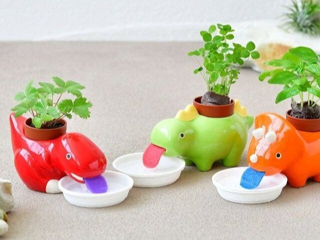 Dino Planters