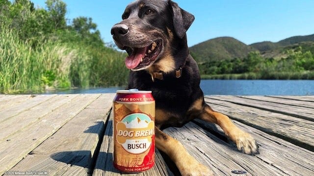 Busch dog brew