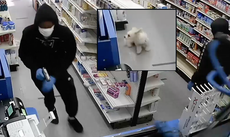 Dog pharmacy robbery