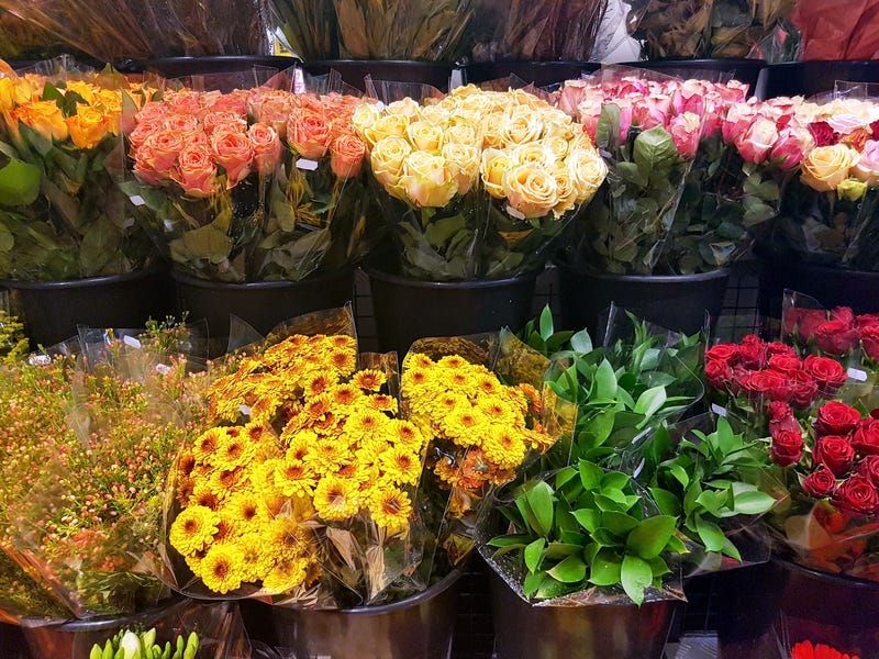 Flowers