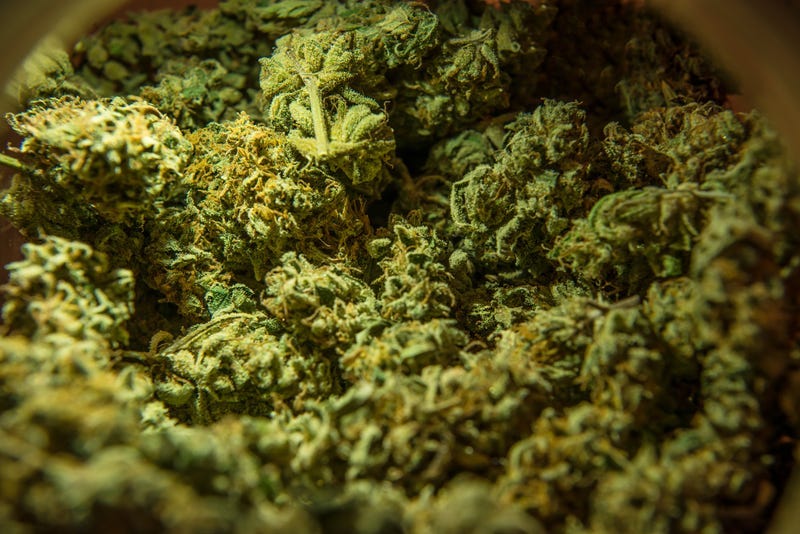 Marijuana