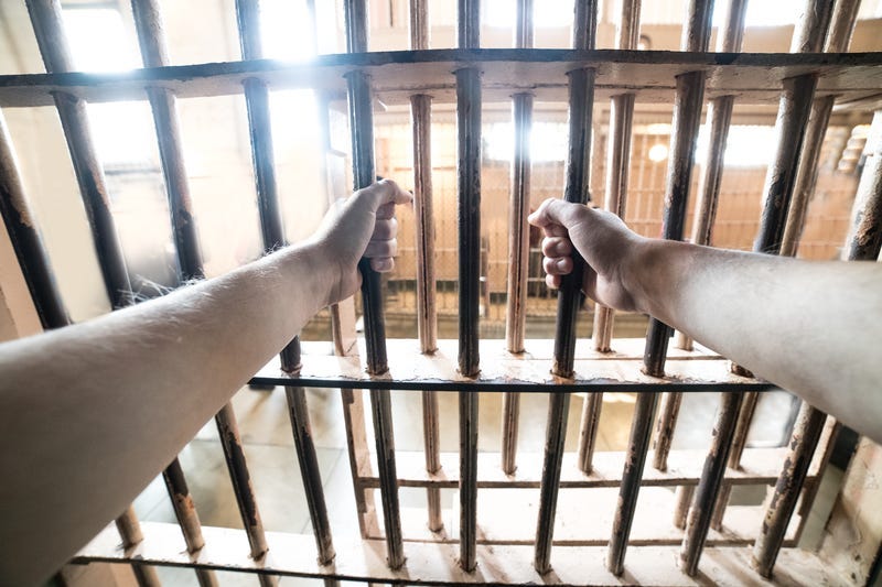 prison bars, prison, jail, t shirt, t shirt cannon, idiot