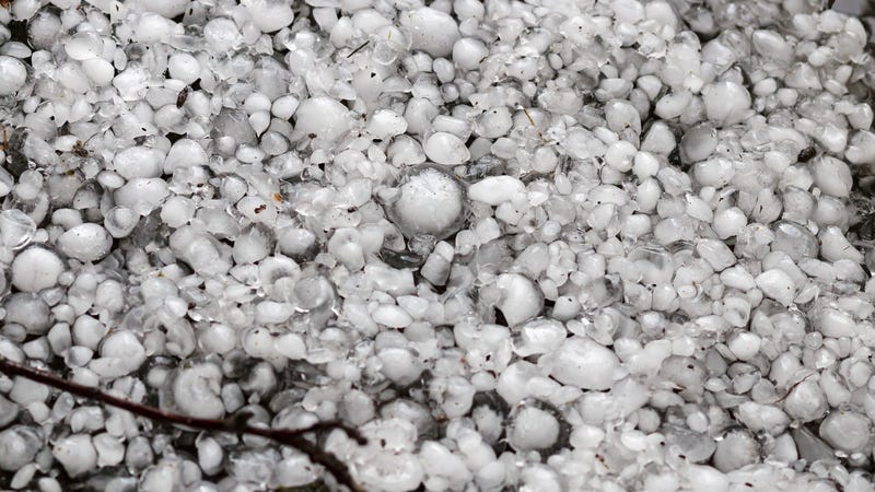 Hailstones on the ground after hailstorm, hail of great size, hail sized with a larger coin. Danger, cool.