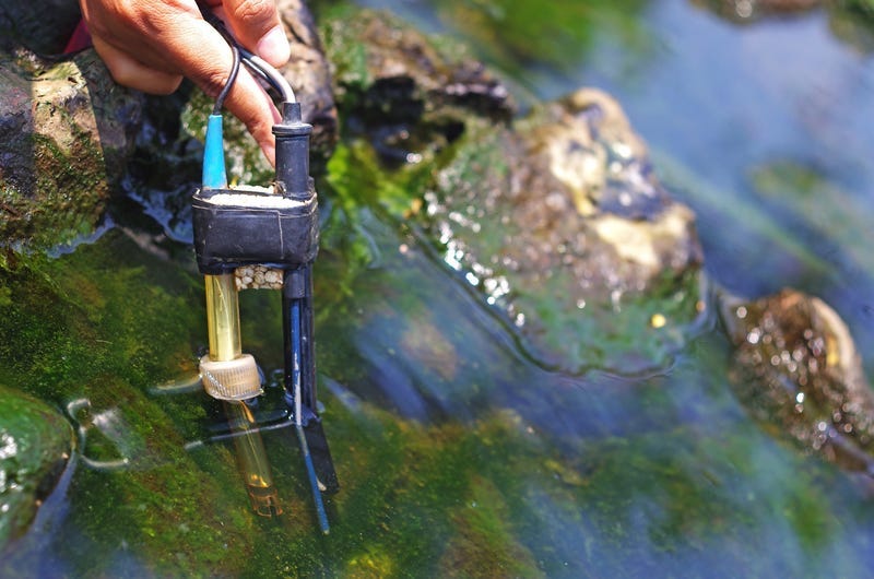 Checking water quality.