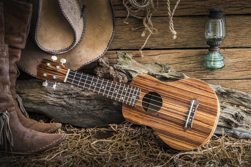 Cowboy Hat and Guitar