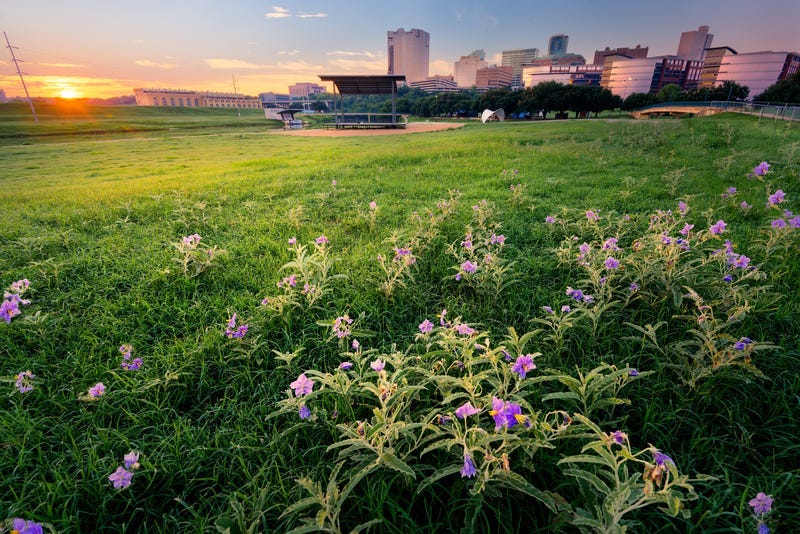 Fort Worth, Panther Island