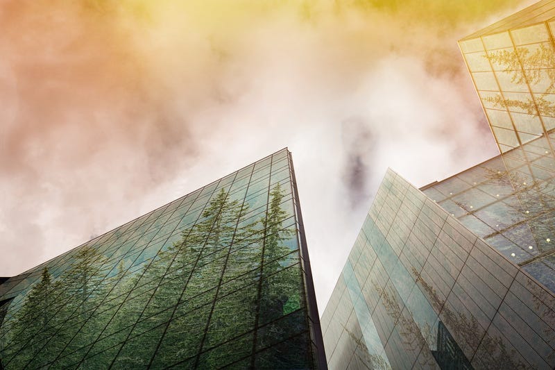 Sustainable Companies