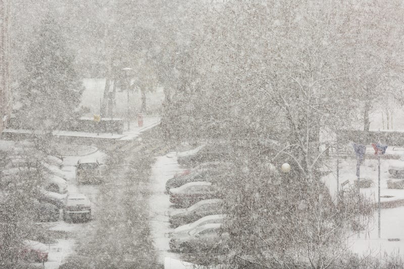Blizzard