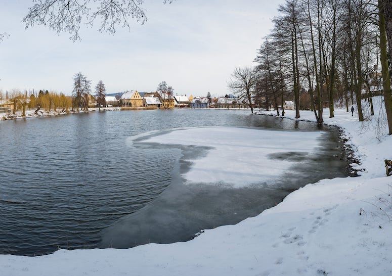 Frozen, Pond, Lake, Ice, Water, Forest
