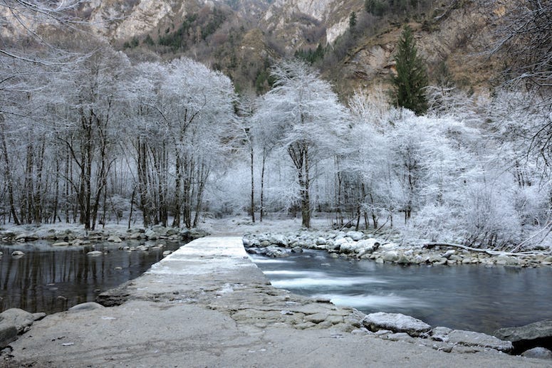Frozen Trees, Small River