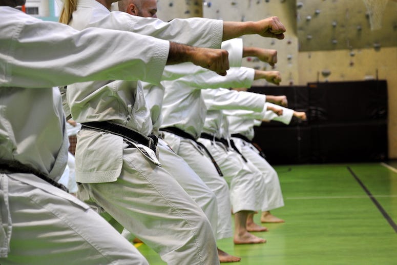 Martial Arts, Karate, Students, School, Punch, Oi Zuki