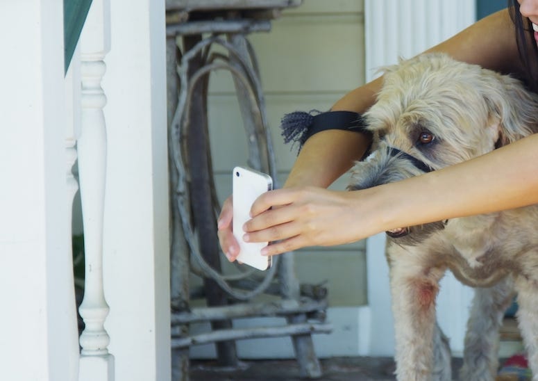 Woman, Dog, Porch, Phone, Selfie