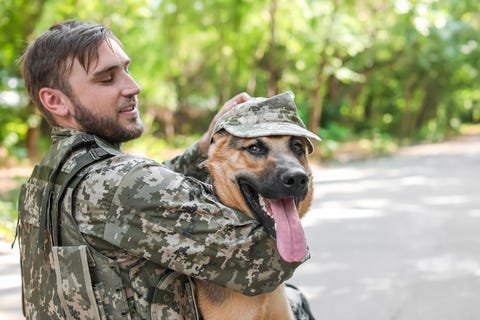 Solider & Dog