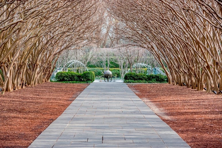 Dallas Arboretum and Botanic Garden in Winter